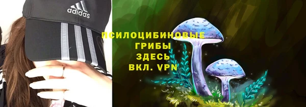 каннабис Богданович