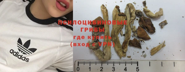 каннабис Богданович