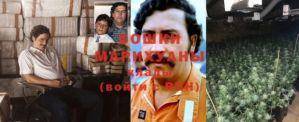 каннабис Богданович
